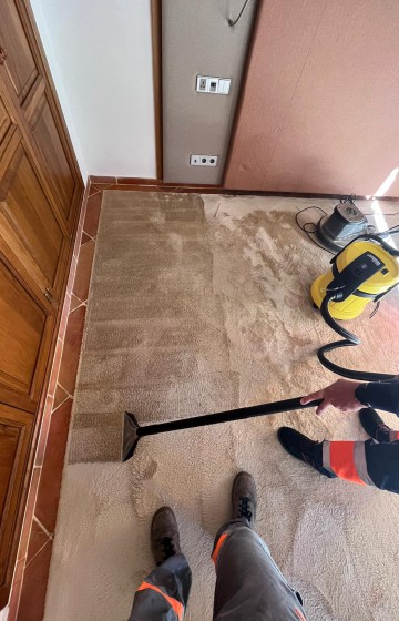 Upholstery Cleaning